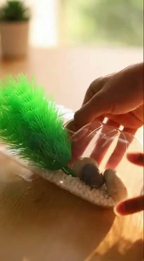 DIY Mini Aquarium: Transform a Plastic Bottle into a Tranquil Oasis!