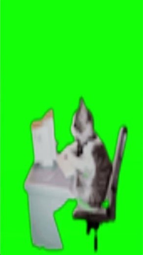 “Roblox Cat Uses a COMPUTER… And Types Like a MANIAC! 😹💻💥” #roblox #funnycatmeme #shorts