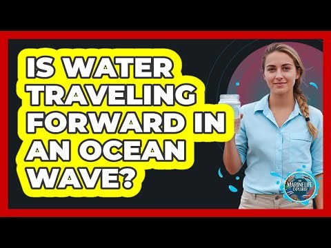Is Water Traveling Forward in an Ocean Wave?