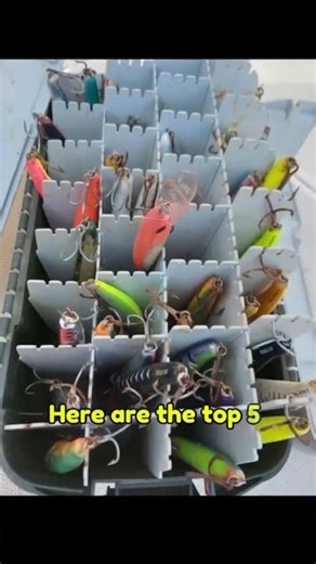 Best Fishing Lures For Beginners