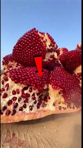 You're Picking Pomegranates Wrong 🍎