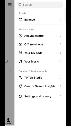 Effective Learning Strategies on TikTok