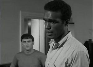 The 12 Greatest Zombie Movies for Grownups