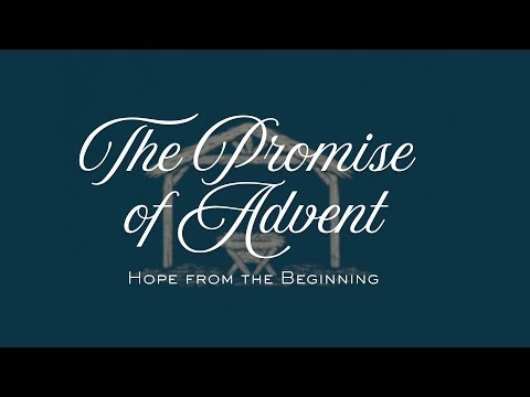 Joy Arrives on Time - Genesis 21:1-7