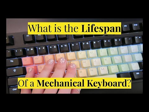 How Long do Mechanical Keyboards Last & How to Make them Last Longer!