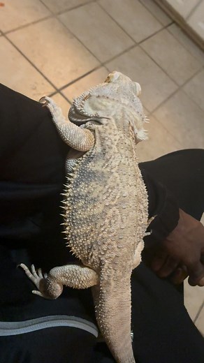 James Street on Reels