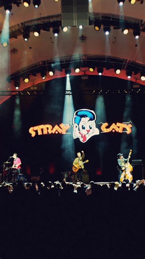 1.2K views | VERY SPECIAL SHOW!!: Do not miss THE STRAY CATS: Rumble in Del Mar for one night only at The Sound on November 20th! Tickets are available now. | Stray Cats | Facebook