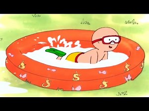 Caillou and the Pool | Caillou Cartoon
