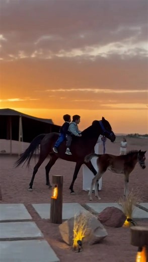 Exploring Family Vibes at Al-Nasiriyah Camp