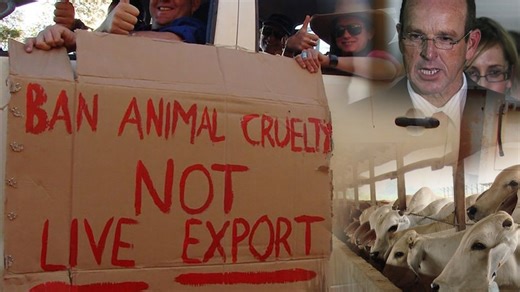 Cattle industry heads back to Federal Court for live export ban compensation fight
