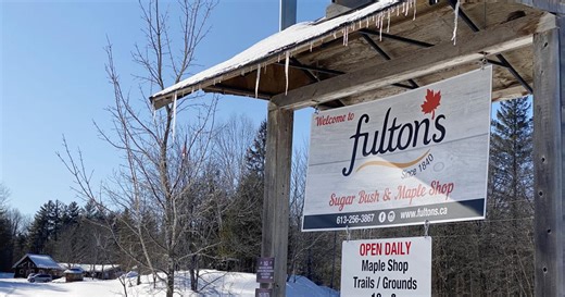 Ottawa Valley March break guide: Historic bowling, alpaca farms and maple syrup fun