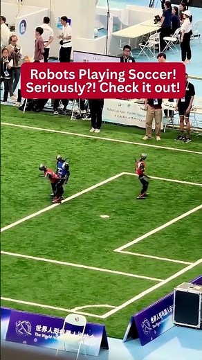 Robots Playing Soccer AI Match