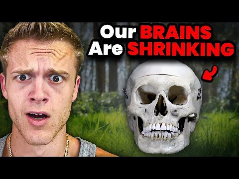 Humans Are Actually DEVOLVING?
