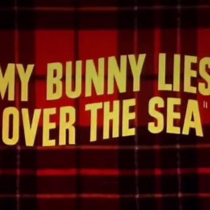 1.3K views · 149 reactions | "Okay, pigeon, sit down," Bugs Bunny ....