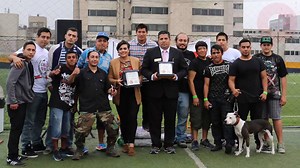 2.6K views · 53 reactions | Apbt Peru on Reels | Facebook