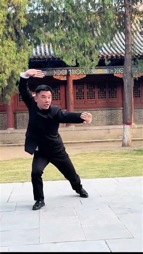 習武先立身，練拳先正心。 #百young非遺計劃#傳武李雙建#迷蹤拳教學#傳統武術傳承