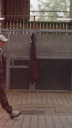 Joseph O’Brien is one of the country’s most renowned horse racing trainers. Come along as @Nathalielennon_ catches up with him to find out exactly what goes into training some of the country’s fastest horses🐎 | @hriracing | Balls.ie
