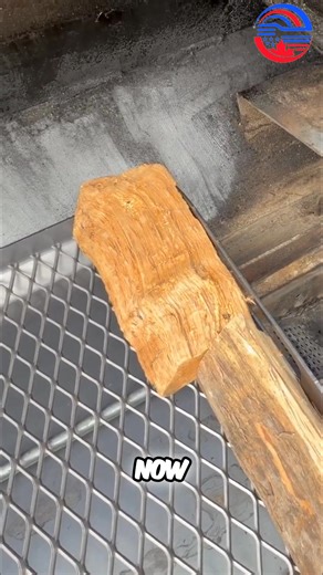 BBQ Experiment SUCCESS! Split Size Matters on the Lone Star Grillz 🔥 #shorts The experiment was a success! 💪 In this sneak peek, I’m running an awesome test on my Lone Star Grillz 42” Pellet Smoker using the charcoal insert to see how wood split size affects smoke flavor and heat consistency. Spoiler: smaller splits win big time. 💡 What we learned: 🔥 Split size does matter — flavor and temp control change drastically 🔥 The charcoal insert works perfectly for small wood splits 🔥 Once it’s l