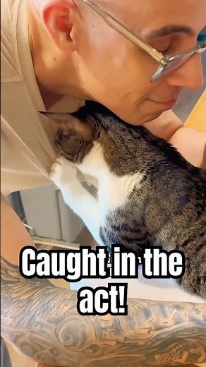 Funny Cat Pyper Inspects My Shirt Collar 🔎