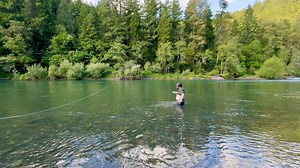 Our MS 3wt, 4wt, and 5wt rods are a great choice for summer trout spey applications. We have a rod to match any fishery, from small waters to big sprawling rivers. Check them out here: https://pureskagit.com/products/opst-two-handed-rods-ms | Olympic Peninsula Skagit Tactics