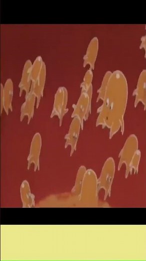 How fluorescent lamp works ? #cfl