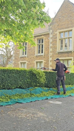 Andy Bourke | Just a buxus hedge in the morning sunshine, a nice trim with simple clean lines. . . . . . . . . #gardening #hedgecutting #plants #reels | Instagram