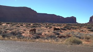 88K views · 25 reactions | Travel easier with the Avis App. Total control at your fingertips. https://goo.gl/ZbW81T | Avis Car Rental | Facebook