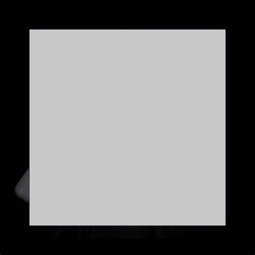 Coloring Tips with Phil Lester: A Fun Experience