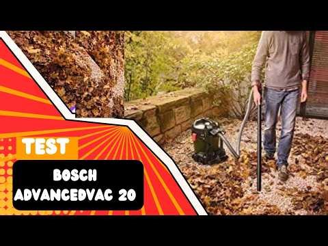 Meilleure Aspirateur Eau et Poussière:Bosch AdvancedVac 20:Test