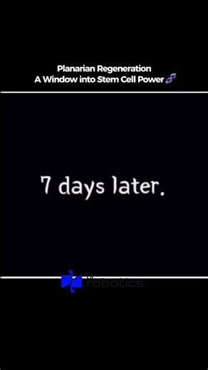 🧬 Planarian Regeneration: A Window into Stem Cell Power