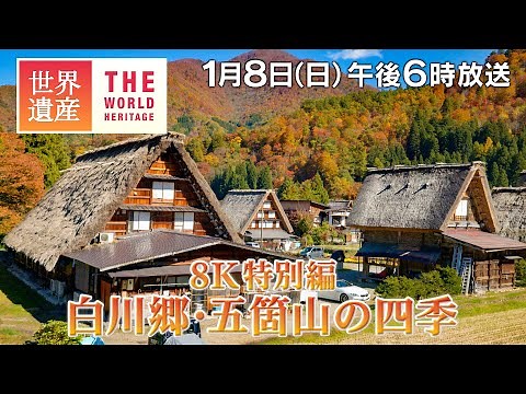 【TBS世界遺産】8K特別編 白川郷・五箇山の四季【1月8日午後6時放送】