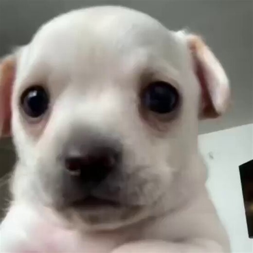 Qué envidia. Por lo regular, a mí me toca puro pendejo que escucha a Chumel, Loret de Mola o el Panda Show. 😖