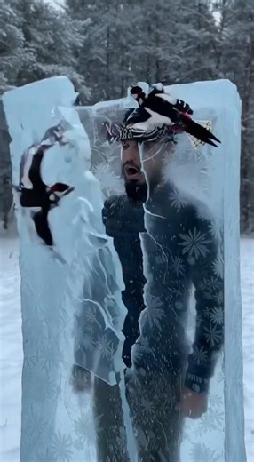 Some bird Help me! #shorts #rescue #birds