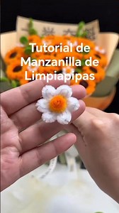 Tutorial de Manzanilla de Limpiapipas #floresdelimpiapipas #manualidades #flores #emprendedesdecasa
