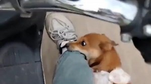 【ghfgjvd】更新啦，赶紧来围观吧！