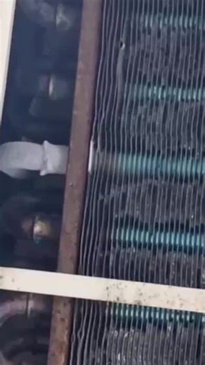 Servicing Window Air-con done right 👍🏼 Professional window cleaning that restores clarity and shine. Before & after speaks for itself. 🗓️ Book your service slot now. Call or WhatsApp us for more details 673 8206200 #bruneidarussalam #bruneiviral #bruneifyp #bruneiaircondservices #bruneiadvert