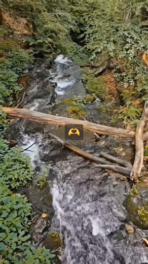 📍Bushkill Falls Pocono Mountains, part 3! #nature #roadtrip #travel #amazing #shorts