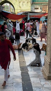 6.3K views · 159 reactions |  Mira datar dargah Sharif  new most famous  WhatsApp  status khadim contact mo.+917778836100 | Saiyed Hasnein Miya | Facebook