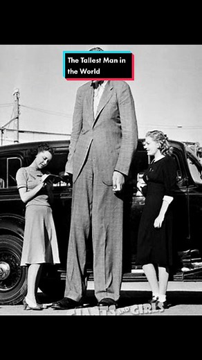 At 2.72 meters, Robert Pershing Wadlow was the tallest human in medical history whose height is unequivocally documented. #robertwadlow #truecrime #crime #worldrecord #sad #usa #fy #fyp