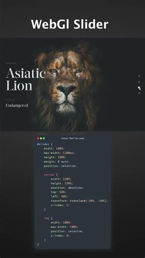 ✨ WebGl Slider Animation