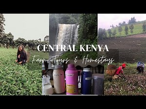 5 BEST COFFEE & TEA FARM TOURS IN CENTRAL KENYA/Homestays in Murang'a & Kirinyaga