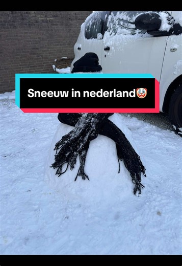 Building a Snowman: The Day After the Snowfall