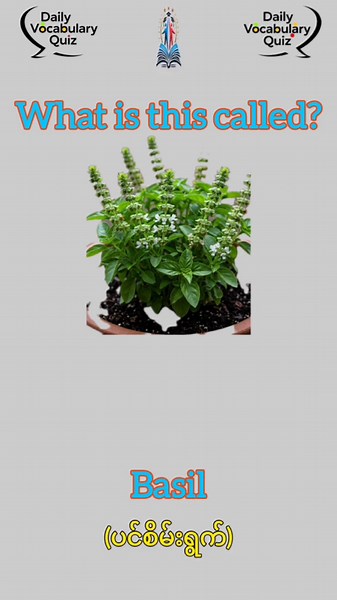 Test your English vocabulary skill: Vegetable🧠✨ #vegetables #vocabulary #test #educational #quiz