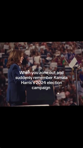 Kamala Harris 2024 Election Campaign Insights
