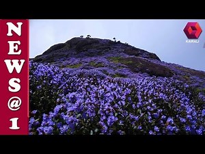 നീലക്കുറിഞ്ഞി സാങ്ച്വറിയുടെ അതിർത്തി നിർണ്ണയം പൂർത്തിയാക്കാൻ തീരുമാനം