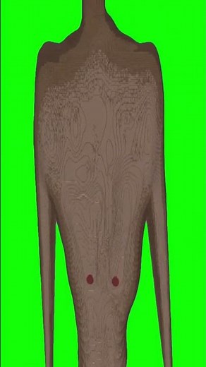 Mr Beast in Minecraft Green Screen