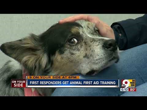 First responders learn animal first aid