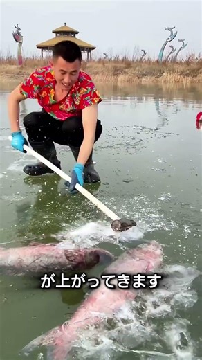 なんでこいつ、氷の下に空気を送り込んでるんだ？