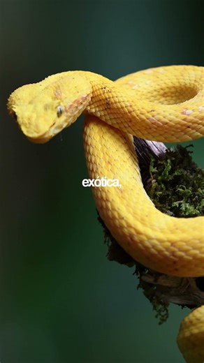 It's not what happens outside, it's what happens inside your mind