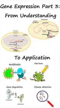 Gene Expression 3: From Knowledge to Application #molecular biology #gene expression #biology